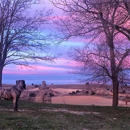 Apartamento Ribera Del Duero Reserva Tubilla del Lago Екстер'єр фото