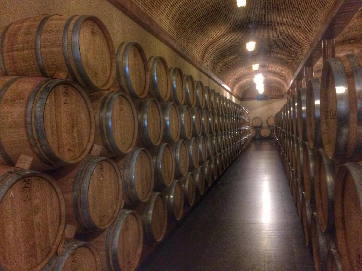 Apartamento Ribera Del Duero Reserva Tubilla del Lago Екстер'єр фото
